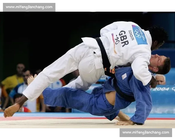 柔道vs技术流派碰撞与实战策略全面解析之路高手对决演进趋势